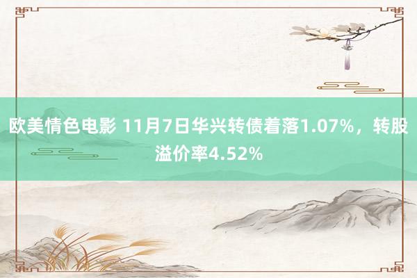 欧美情色电影 11月7日华兴转债着落1.07%，转股溢价率4.52%