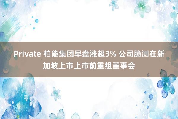 Private 柏能集团早盘涨超3% 公司臆测在新加坡上市上市前重组董事会