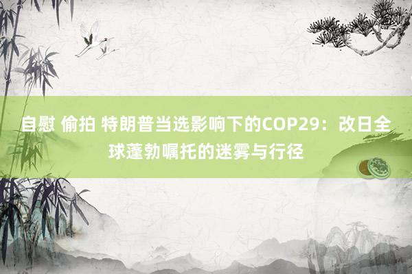 自慰 偷拍 特朗普当选影响下的COP29：改日全球蓬勃嘱托的迷雾与行径