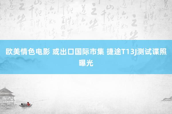 欧美情色电影 或出口国际市集 捷途T13J测试谍照曝光