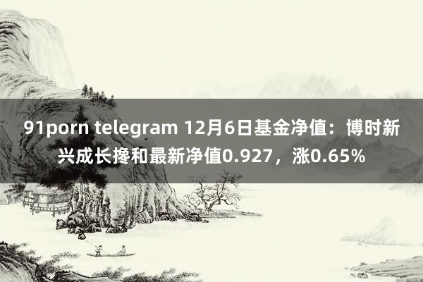 91porn telegram 12月6日基金净值：博时新兴成长搀和最新净值0.927，涨0.65%