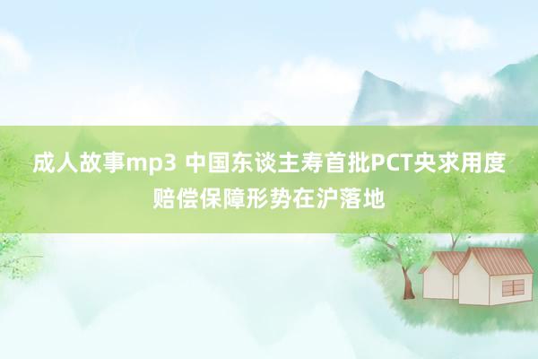 成人故事mp3 中国东谈主寿首批PCT央求用度赔偿保障形势在沪落地