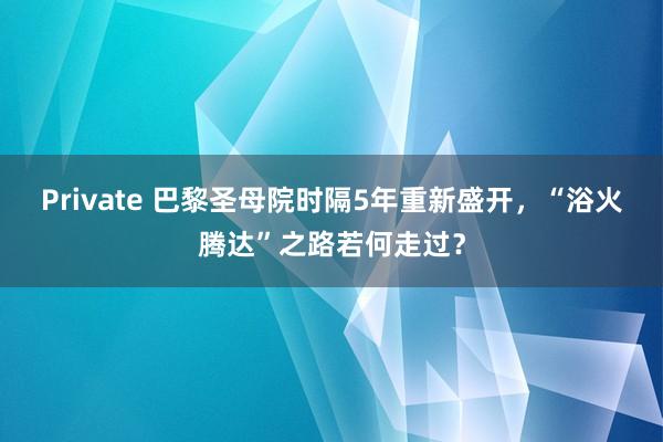 Private 巴黎圣母院时隔5年重新盛开，“浴火腾达”之路若何走过？