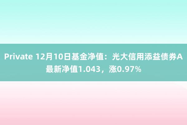 Private 12月10日基金净值：光大信用添益债券A最新净值1.043，涨0.97%