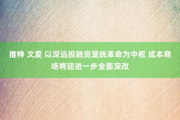 推特 文爱 以深远投融资笼统革命为中枢 成本商场将迎进一步全面深改