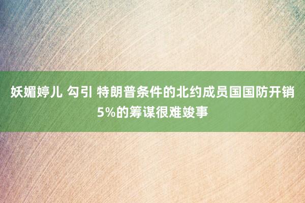 妖媚婷儿 勾引 特朗普条件的北约成员国国防开销5%的筹谋很难竣事