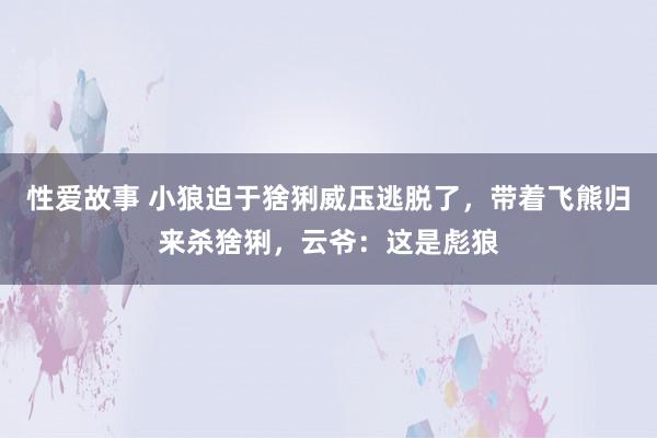 性爱故事 小狼迫于猞猁威压逃脱了，带着飞熊归来杀猞猁，云爷：这是彪狼